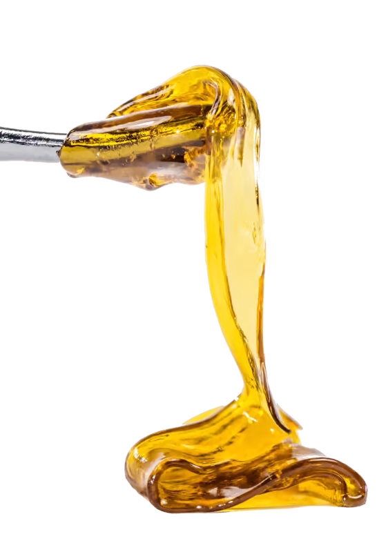 Concentrate 2 e1705612566875